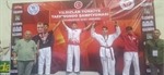 Uçan Taekwondo Spor Kulübü