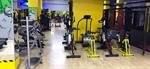 Life Gym